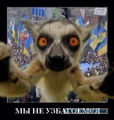 Майдан. Прямая трансляция.