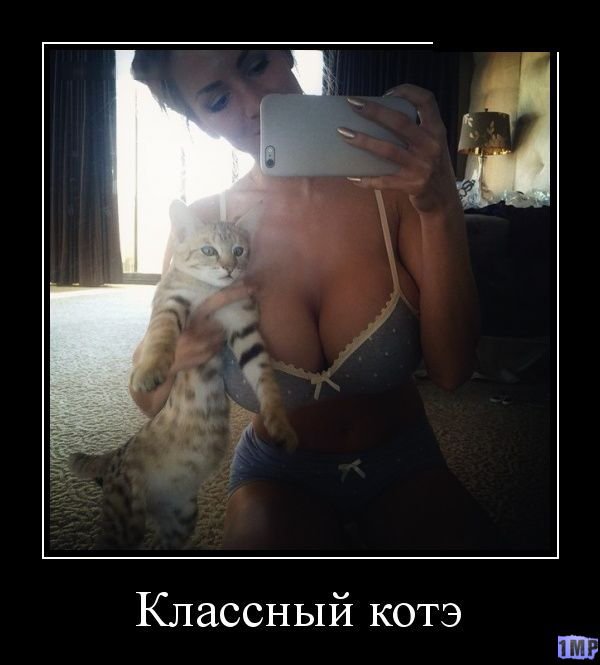 Сетевые картинки улыбательновозбуждающие