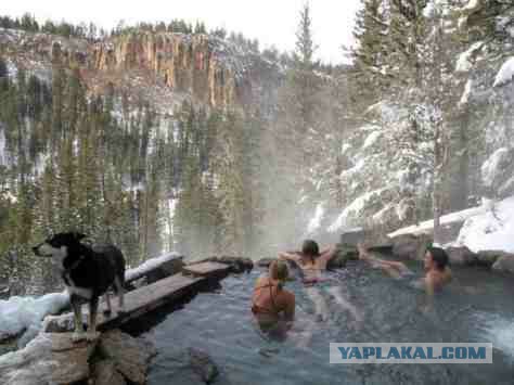 Подборка картинок 02.03.16