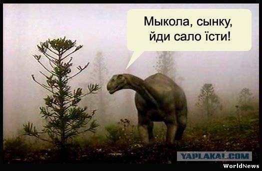 В Киеве объяснили невозможность строительства Крымского моста