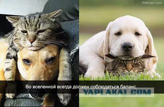 Подборка картинок на четверг