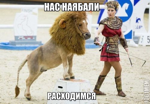 Женщину арестовали за то, что она нагадила на стол босса, когда выиграла в лотерею