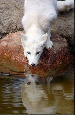 Подборка картинок