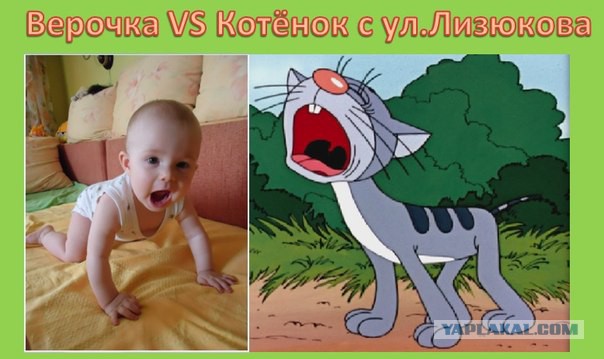 Шоу двойников