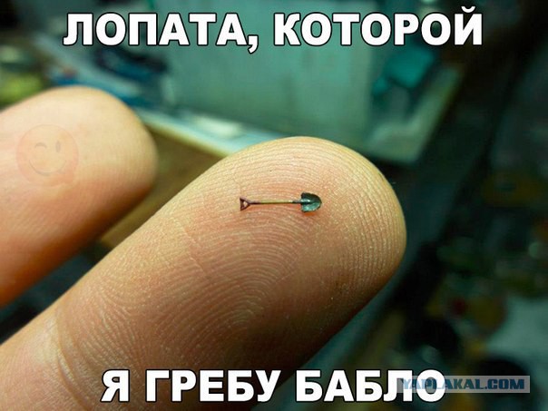 ЯПовцы, сколько получаем?