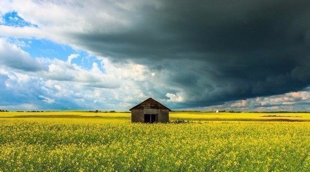 Картинки для отдыха глаз