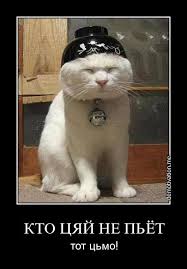 Дедушка Морихэй не выдержал...