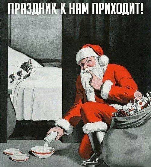 Забавные картинки вразнобой