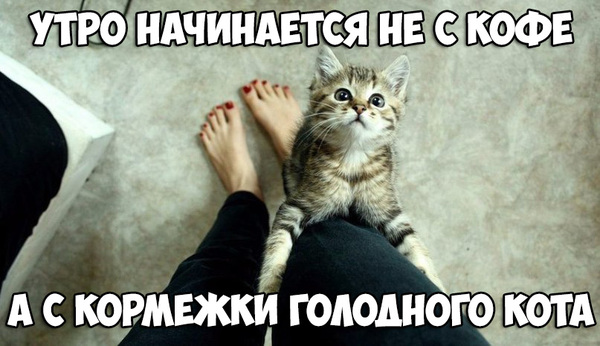 Подборка интересных и веселых картинок