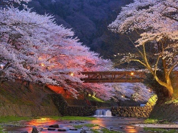 Моменты, запечатлённые на фото и просто позитив 5