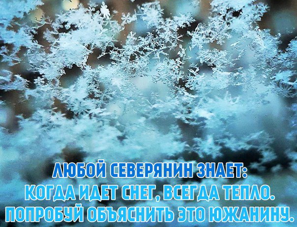 Жизнь в Сибири. Как живут люди в Сибири? Глазами коренного сибиряка