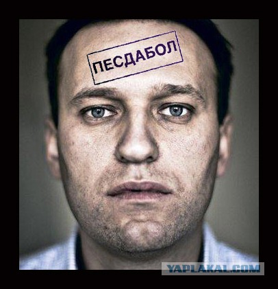 О Димоне и фильме Алексея Навального