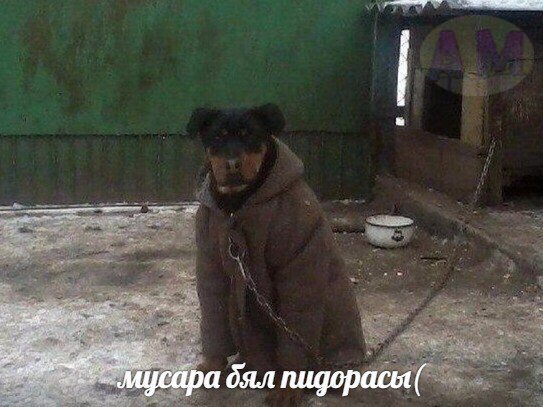 Приколы в стиле "регресс"