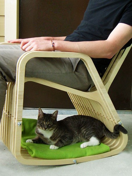 Коты и Кошки