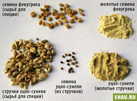 солнечная Индия в пасмурной Сибири