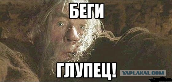 Россия — сырьевой придаток Китая: почему мы стали беднее жителей Поднебесной