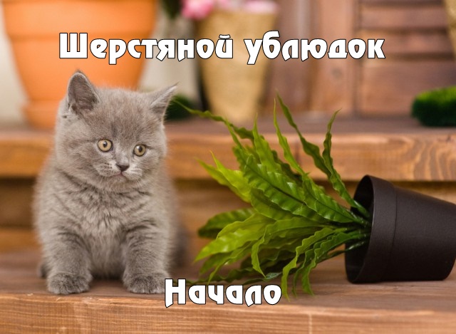 Подборка интересных и веселых картинок