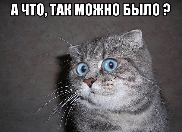 Лыжница-фуфлыжница или "фристайл 80-го уровня"