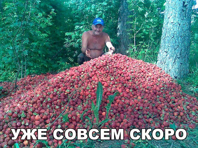 Нестандартный юмор