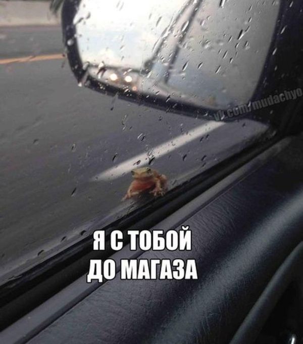 Нестандартный юмор