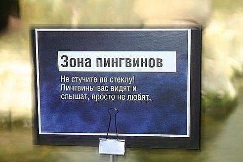 Нестандартный юмор