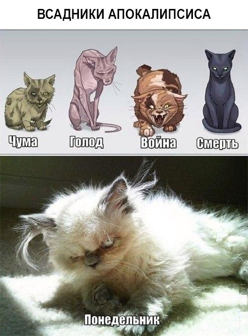Я знаю, что вы делаете! Картинки смотрите!