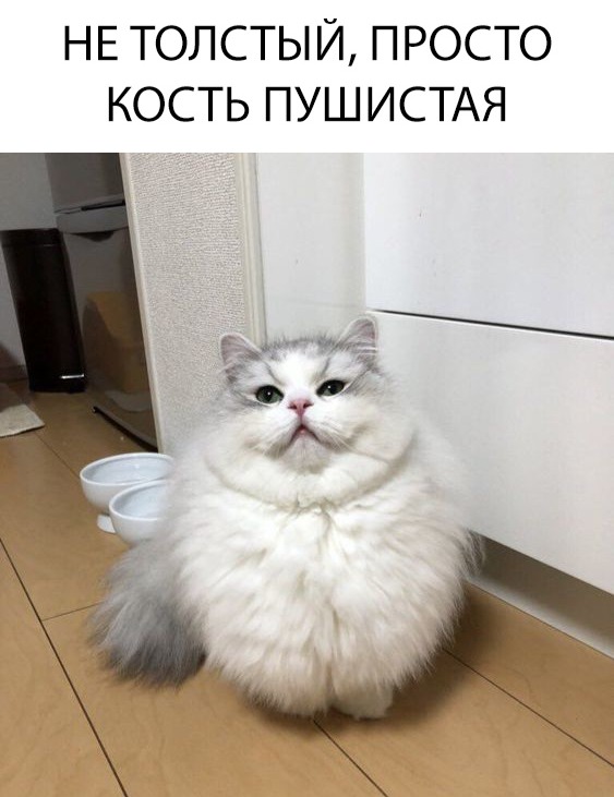 Немного милоты
