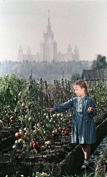 Интересные и редкие фотографии