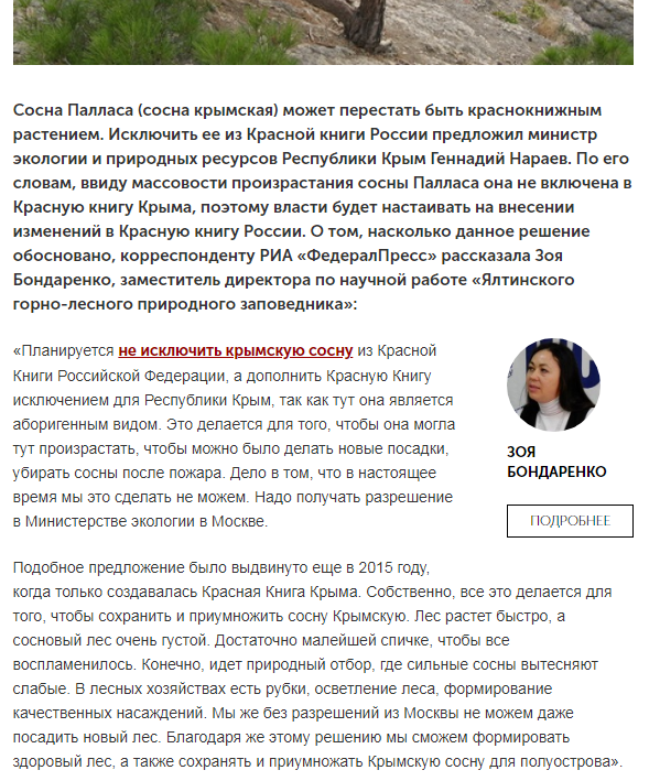 Крымская власть признала уникальную сосну сорняком и добилась исключения из красной книги.