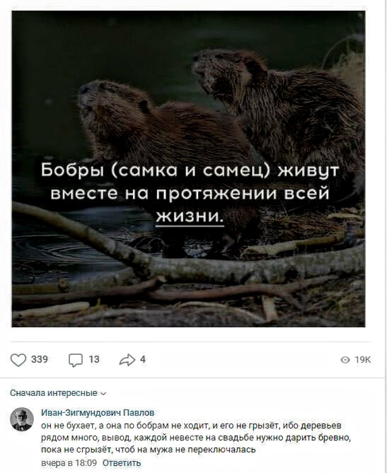 Картинки с надписями, истории и анекдоты 05.12.19
