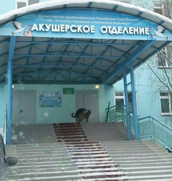Поезд дальше не идёт
