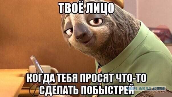 Чуток картинок! Финал в этом году