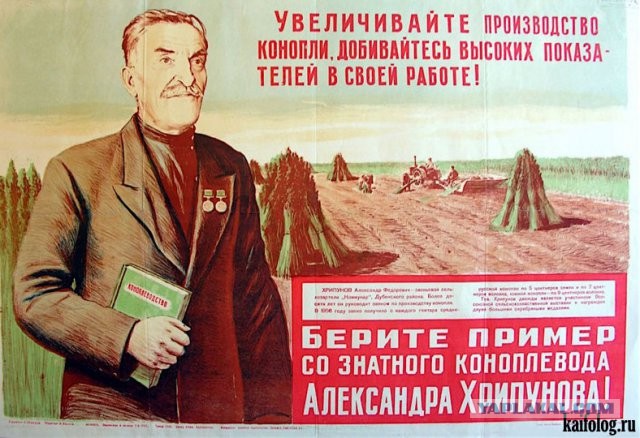 В Нижнем Новгороде полицейские провели спецоперацию по изъятию с прилавков трусов с изображением конопли