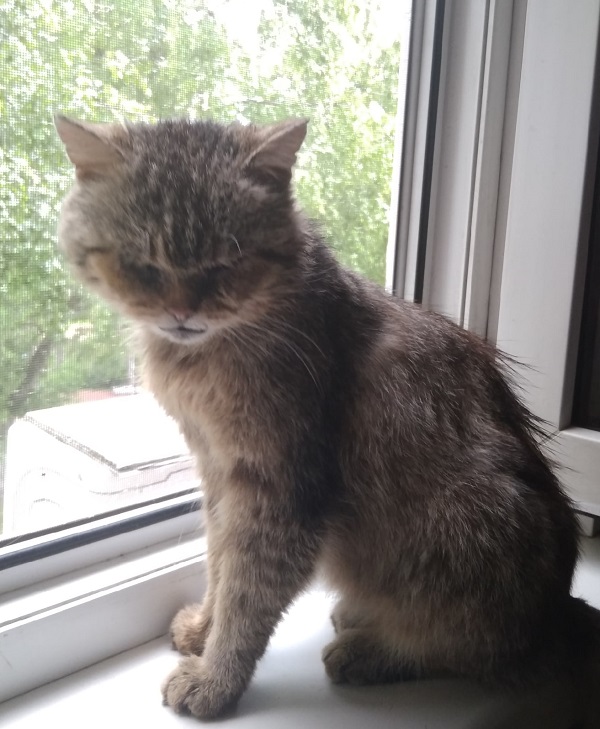 Неновогодний пост