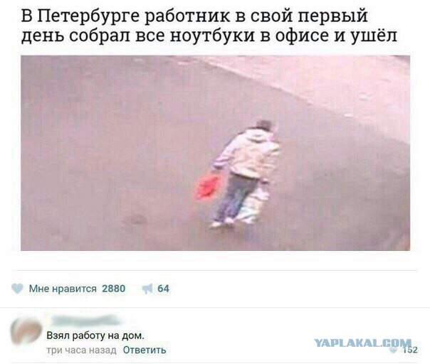 20 юморных картинок