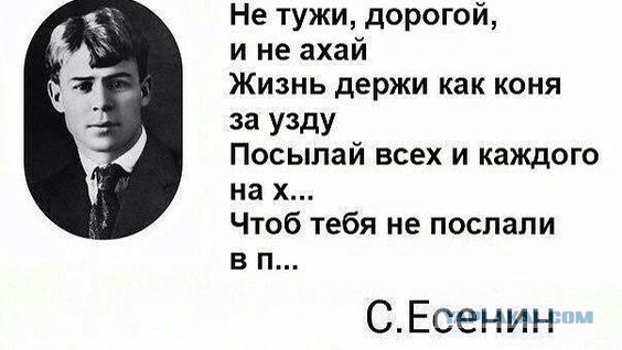 Друзья! Обращение Пашкетта к уважаемым ЯПовчанам! (Пашкетт)