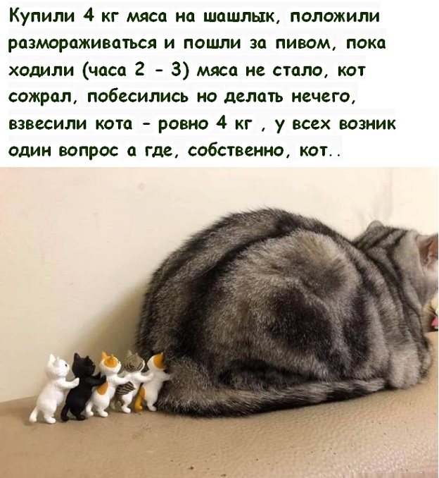 Картинки с надписями фразы  и анекдоты 16.11.20