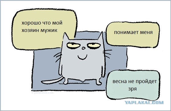Главное - это точно установить причину