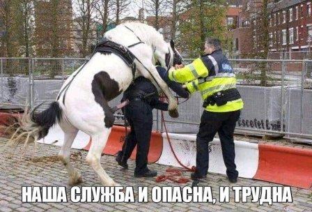 Юмор в картинках 03.12.20