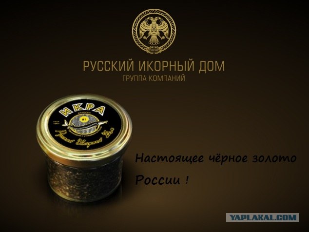 Выиграй 3кг черной икры!