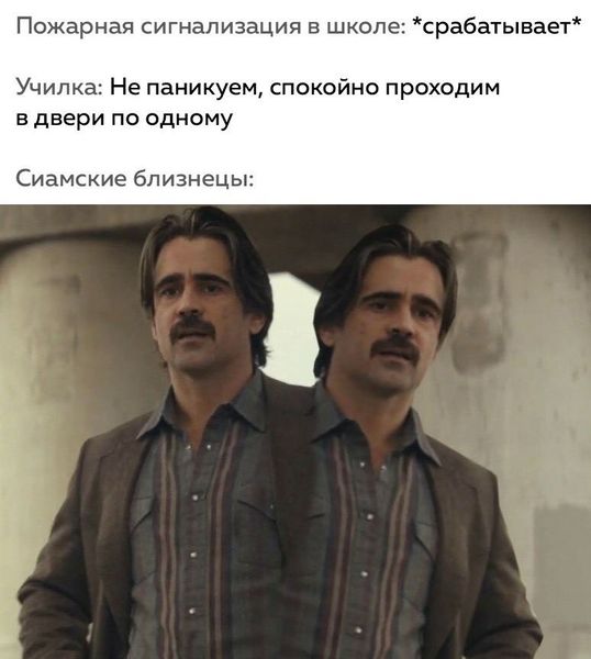 Чернушка 26.12.20