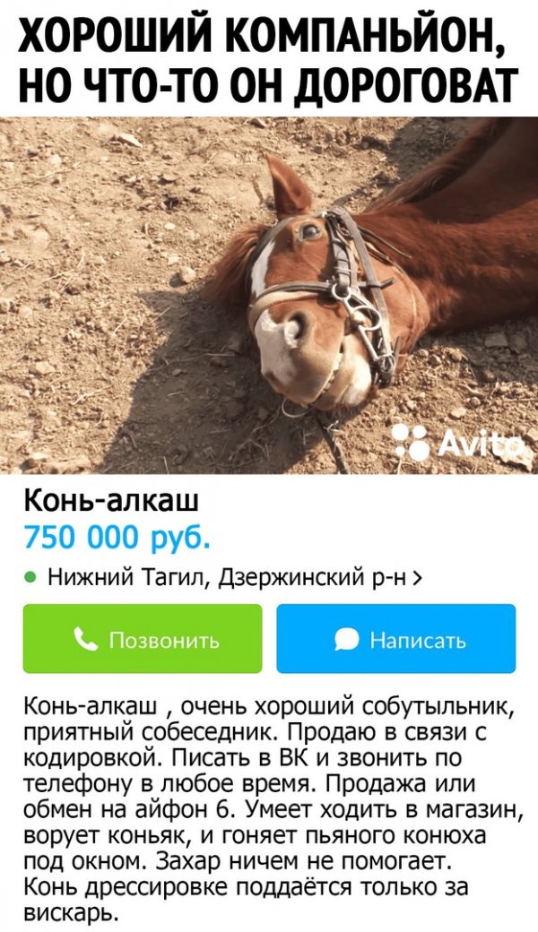 Бредзона 01.03.21