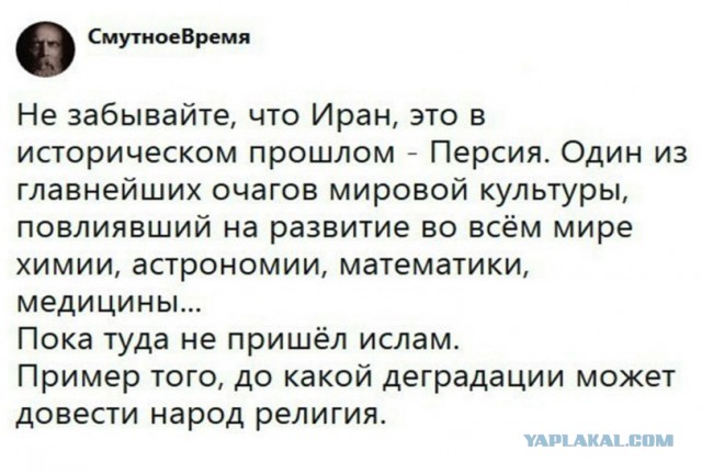 Иранское ТВ больше 100 раз прерывало трансляцию матча АПЛ из-за голых ног женщины-арбитра