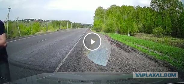 Очередной водятел