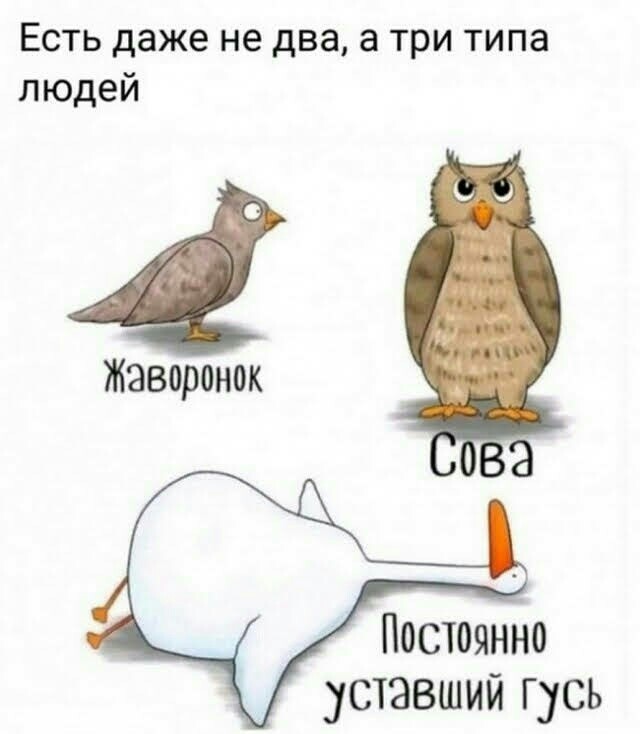 Так себе картинки 05.06.21
