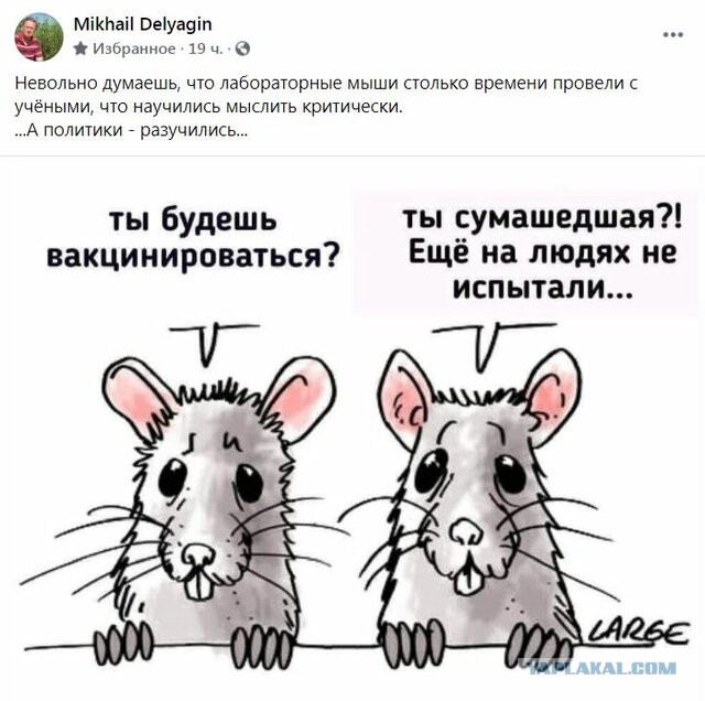 Баранный вируссологический пикчерзз