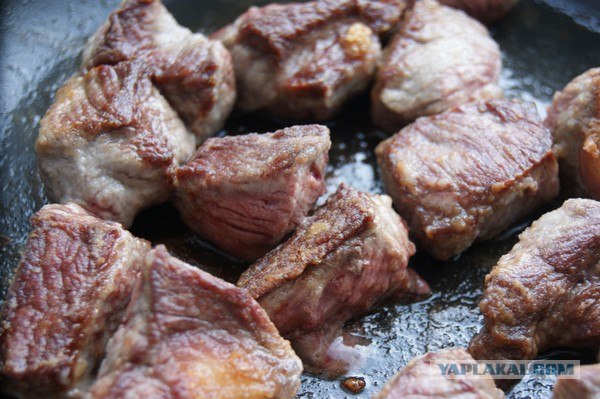 Фасоль – International, Или «Веселые нотки»