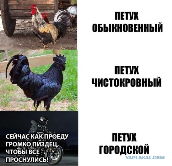 Водителей в России предупредили о штрафах за замену аудиосистемы в автомобиле в 2021 году