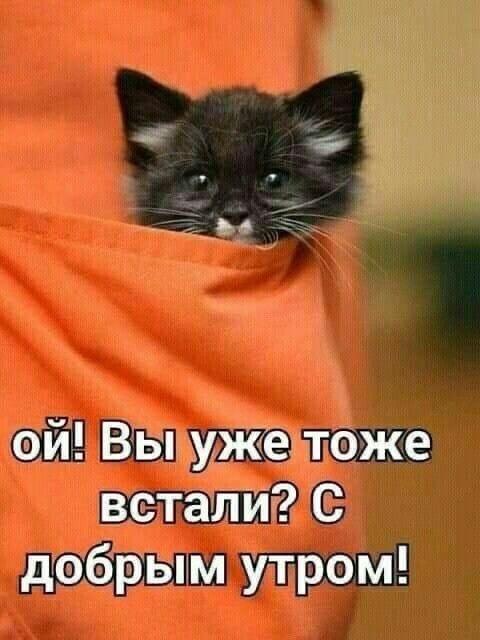 Картинки и мемы для настроения 22.11.2021