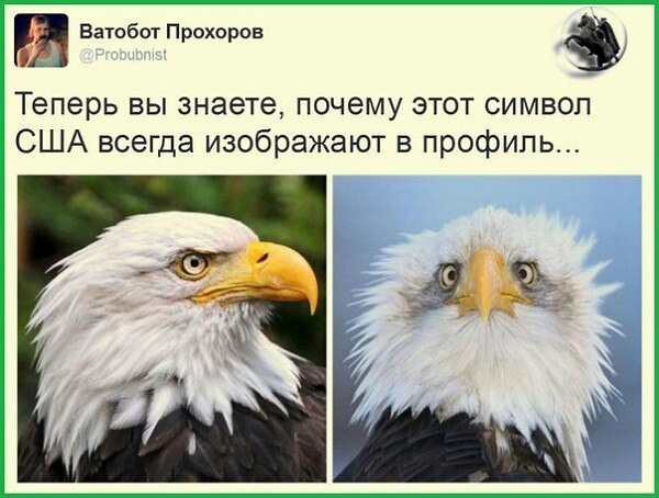 Подеградируем, побаяним... ч.2